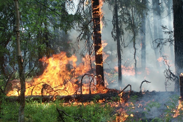 Огонь подобрался к селу в Эвенкии: «Солнца красного не видно»