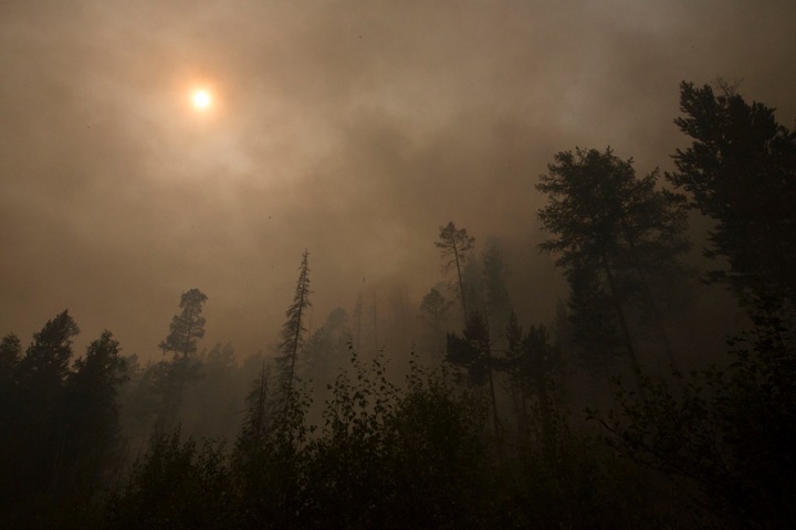Площадь лесных пожаров в Сибири превысила 1,5 млн га