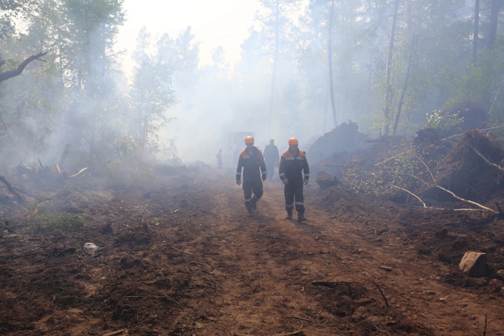 Режим ЧС ввели в регионах Сибири из-за лесных пожаров