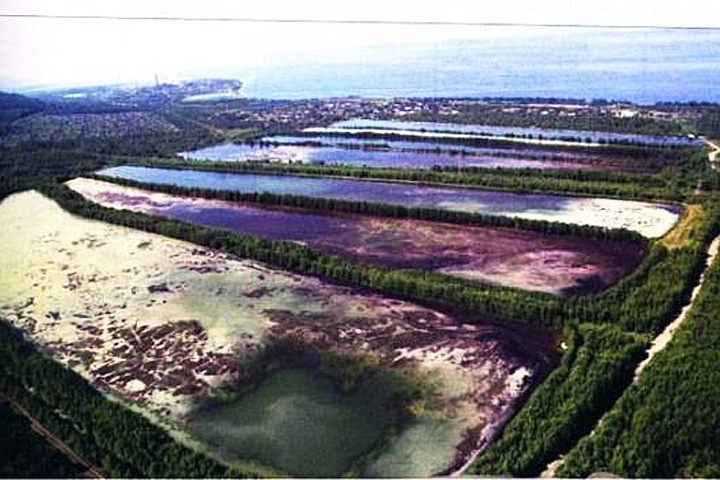 Экоактивисты заявили о переливе отходов Байкальского ЦБК в почву