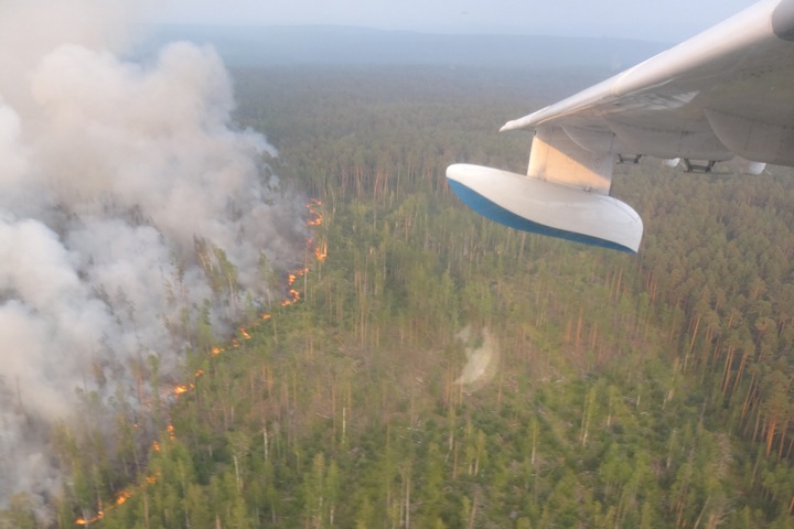 Лесные пожары в Красноярском крае начали тушить с самолета