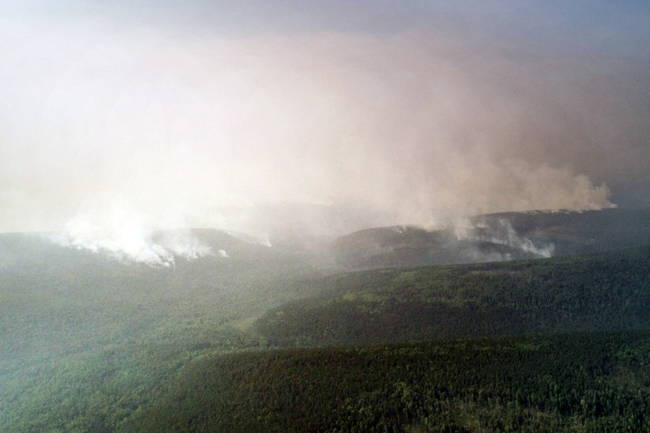 Площадь лесных пожаров снова начала расти в Сибири