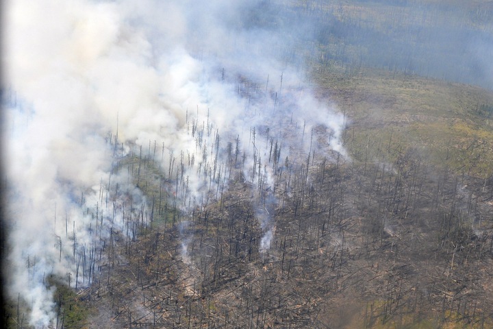 Лесные пожары подобрались к жилью в Приангарье