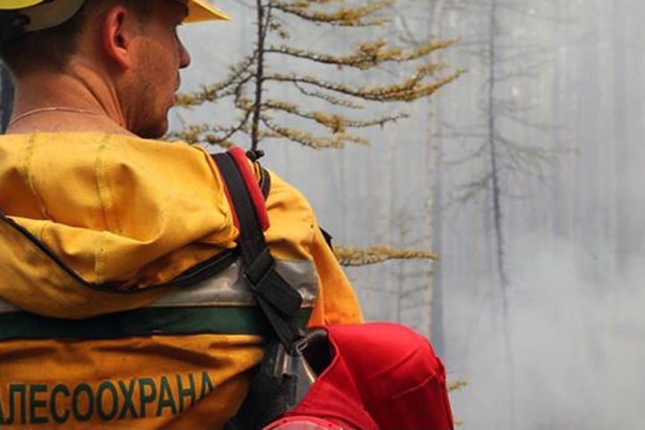 Травников призвал «не повторять печальный опыт соседей» в борьбе с пожарами