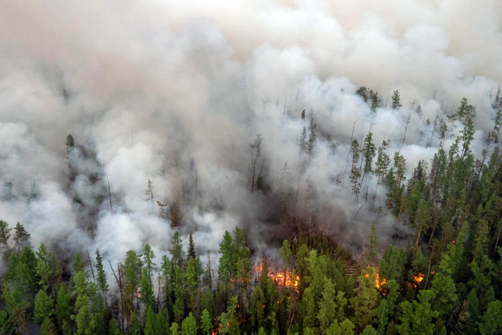 Около 2 млн га леса не тушат в Сибири