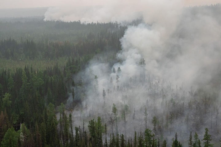 Как продолжает гореть сибирский лес. Фото