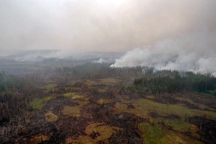 Более 2 млн га леса горит в Сибири: «От дыма задыхаются люди»