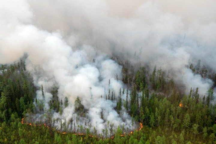 Числа недели: миллионы на восстановление Сибири, солнечная экономия и парашютисты против пожаров