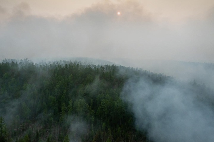 Площадь пожаров снова начала расти в Красноярском крае