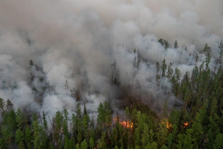 Площадь природных пожаров выросла в Сибири