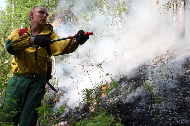 Красноярские власти оценили в 1,4 млн 400 га горящего леса