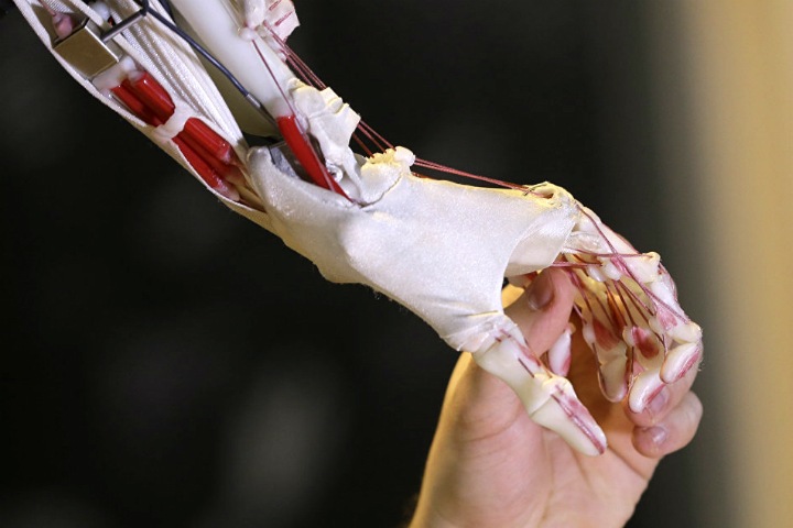 Пациенты в России получат искусственные кости из полиэтилена