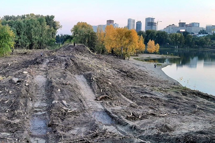Вырубленные под ЛДС деревья сложили у центрального пляжа Новосибирска