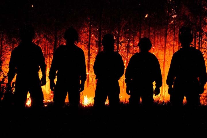 Власти отчитались о тушении всех лесных пожаров в России