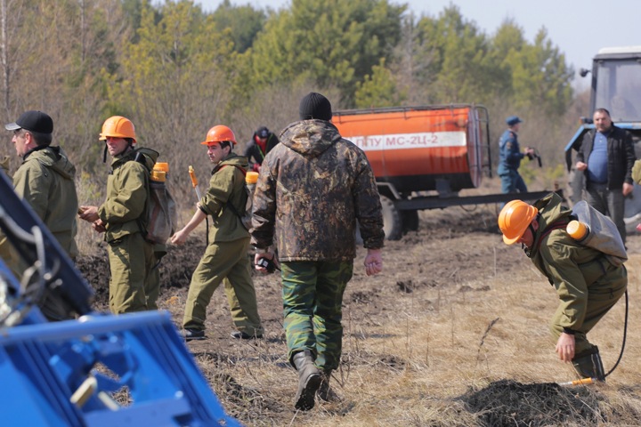 Площадь природных пожаров в Новосибирской области превысила 10 тыс. га