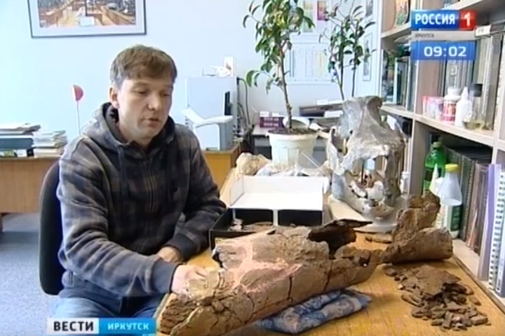 Палеонтологи второй раз в истории нашли в Бурятии кости динозавра