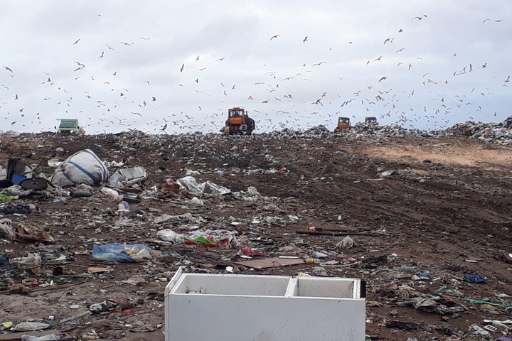 Травников решил «разморозить» мусорную концессию, отказавшись от строительства полигона в Раздольном