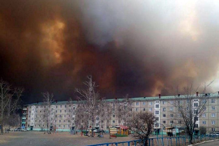 Природные пожары и незаконную переработку леса назвали главными экологическими проблемами Забайкалья