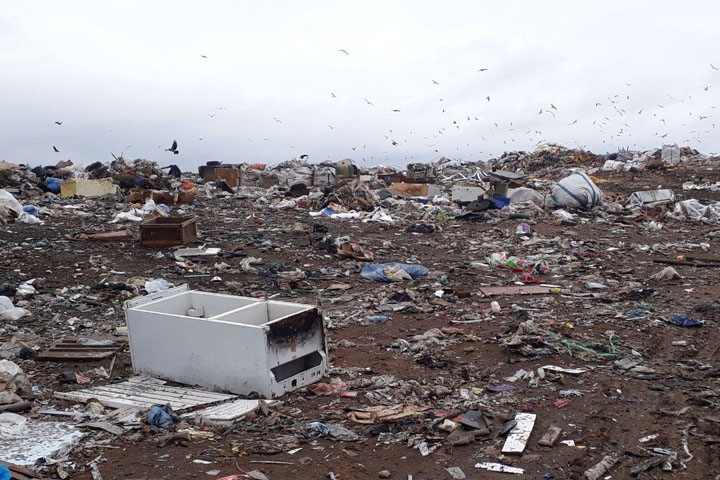 Хорваты предложили построить мусорный завод в Новосибирске
