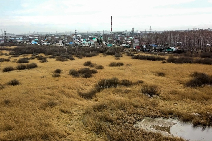 Нападение на защитниц болота Кучино произошло в Новосибирске