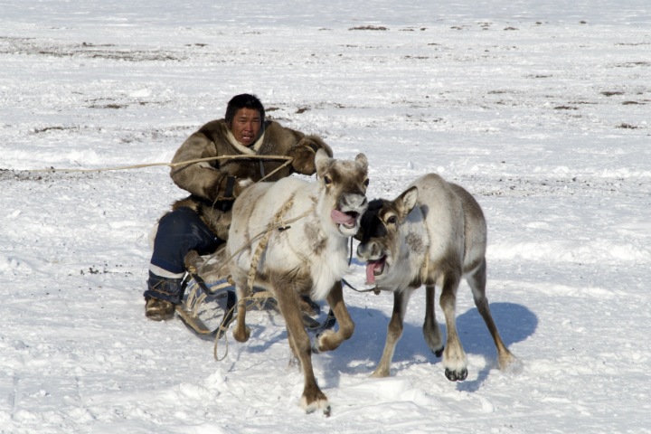 Этнографы следили за сибирскими кочевниками с помощью дронов и GPS. Посмотрите, какие фотографии у них получились