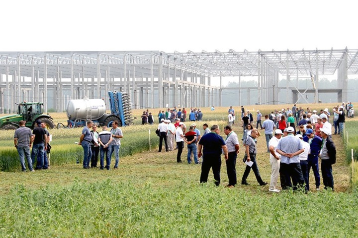 Новосибирские власти решили освободить от налогов крупнейший агрохолдинг