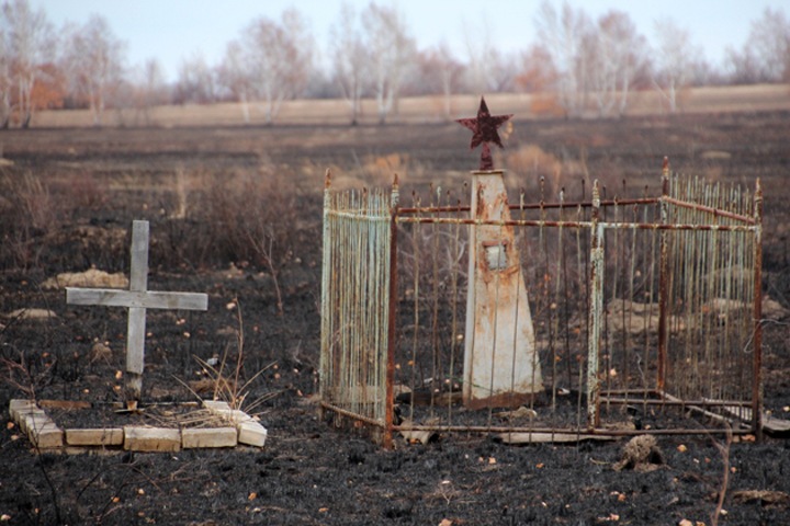 Кладбище с участниками Великой Отечественной войны выгорело в Новосибирской области