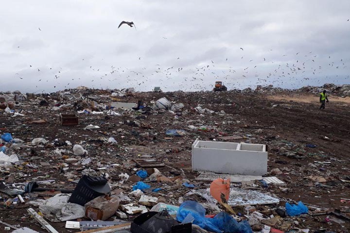 Перевозчики мусора подали новые иски против «Экологии-Новосибирск»