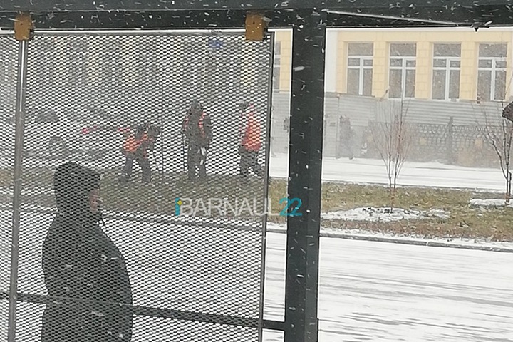 Деревья начали высаживать в Барнауле в -15 к приезду Медведева