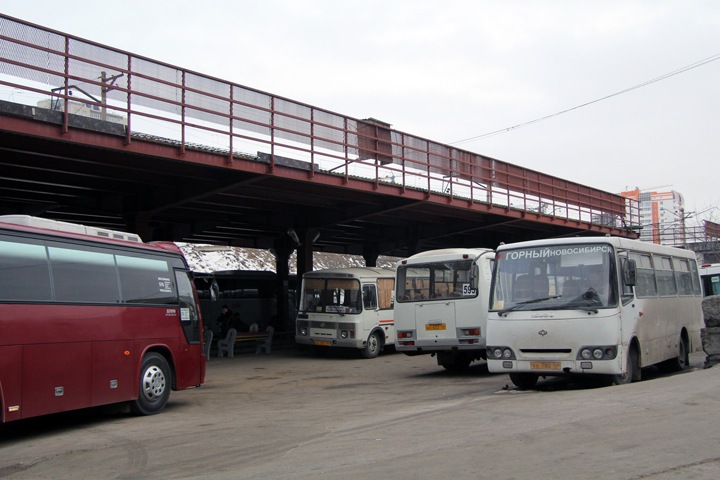 Четверть междугородних автобусов в Новосибирской области признали опасными