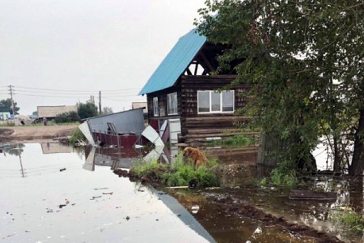 Иркутское правительство: федеральные власти не нашли нарушений при покупке жилья для пострадавших от наводнения