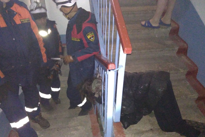 Забайкальские спасатели освободили женщину, застрявшую головой в перилах. Фотофакт