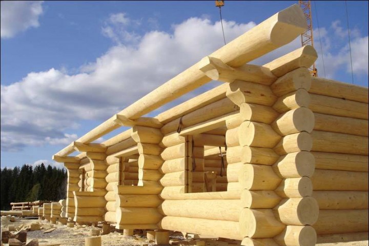 Заксобрание проведет ревизию выдачи леса новосибирцам для строительства жилья