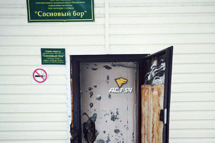 Обыски в новосибирском парке «Сосновый бор»: руководитель заявил о полицейском насилии и ущербе бюджету
