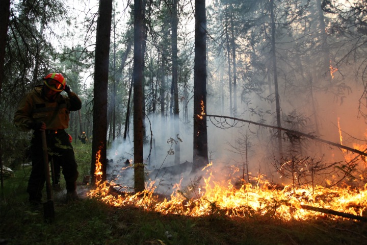 Числа года: площадь лесных пожаров, жертвы наводнения и древний океан в Сибири