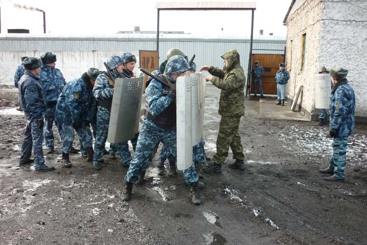 СК завел дело о пытках заключенного в новосибирской ИК-8