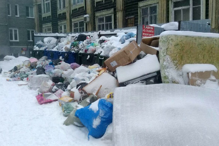 Новосибирские власти объяснили срыв вывоза мусора «сезонностью»