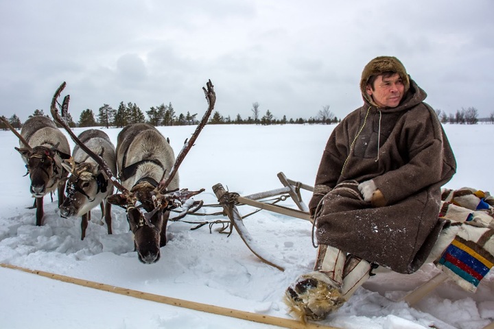 Адаптация к холодам и кочующий острог. Новости года об истории Сибири