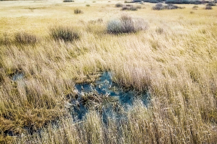 Новосибирское правительство не увидело оснований для прекращения добычи песка на болоте Кучино