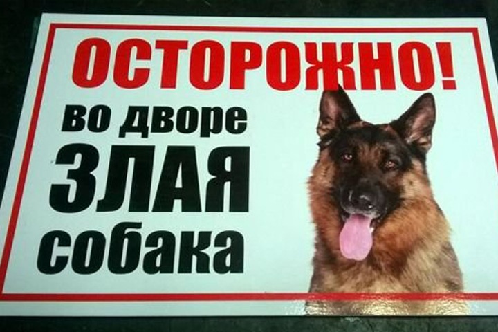 Собаки загрызли сторожа промбазы в Красноярске
