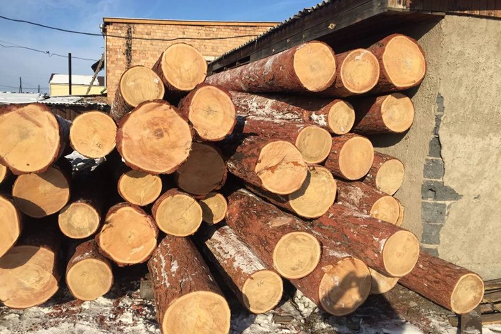 Кудрин рассказал о незаконном экспорте десятков миллионов тонн круглого леса через Бурятию и Забайкалье