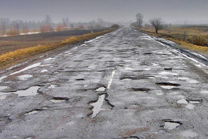 Новосибирский депутат заявил о потерях населения из-за дорог в западных районах области