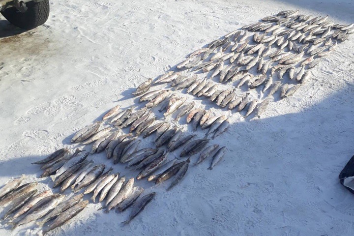 Община эвенков в Бурятии жалуется на фальсификацию дела о незаконной рыбалке