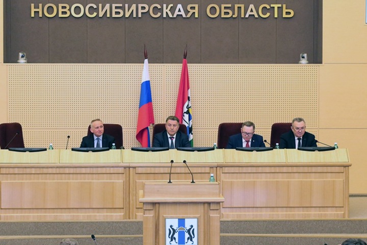 Новосибирские депутаты объявили формирование новой общественной палаты