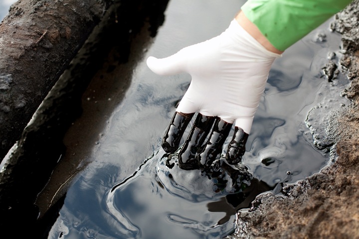 Томская губка очистит воду от нефтепродуктов