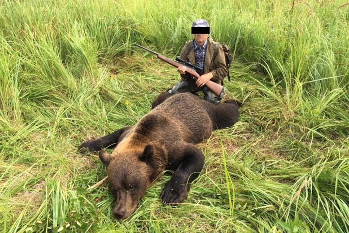 Новосибирский охотник без лицензии убил медведя и выложил фото в соцсети
