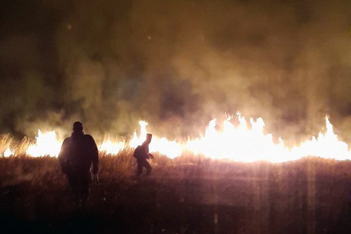 Пожары охватили около 20 тыс. га в регионах Сибири