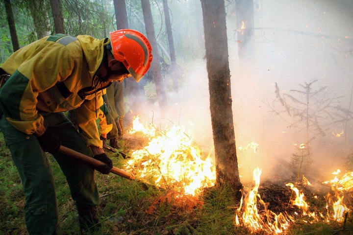 Числа недели: новые пожары в Сибири и трехгодичный запас масок