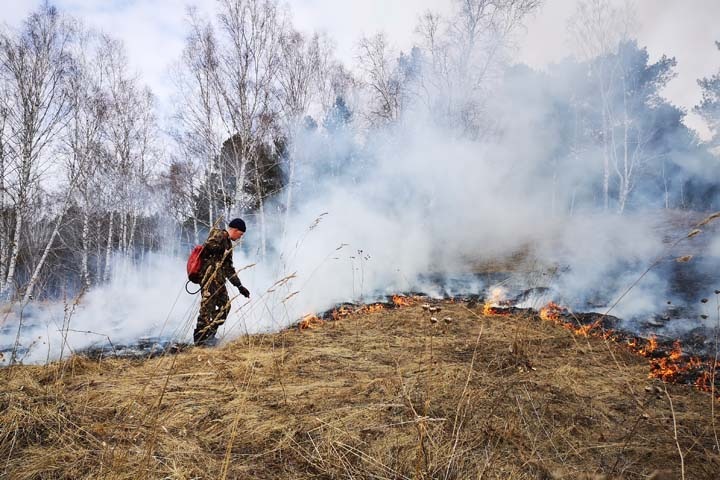 Правительство Забайкалья хочет увеличить штрафы для поджигателей леса