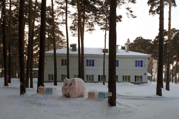 Вернувшихся в Новосибирск туристов изолировали в санаториях